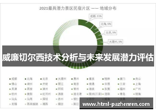 威廉切尔西技术分析与未来发展潜力评估 威廉切尔西技术分析与未来发展潜力评估