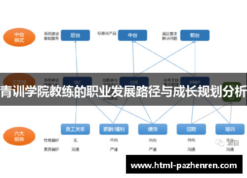 青训学院教练的职业发展路径与成长规划分析
