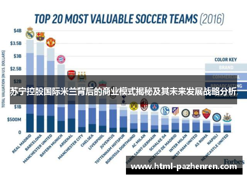 苏宁控股国际米兰背后的商业模式揭秘及其未来发展战略分析